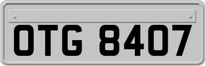OTG8407