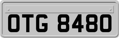 OTG8480