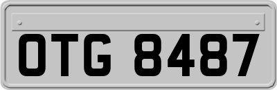 OTG8487