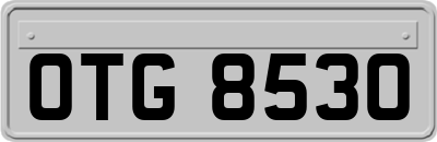 OTG8530