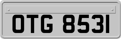 OTG8531