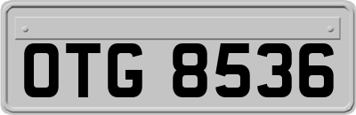 OTG8536
