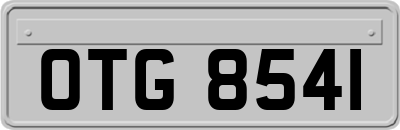 OTG8541