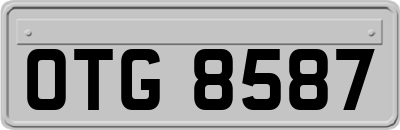 OTG8587