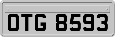 OTG8593