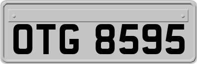 OTG8595