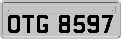 OTG8597
