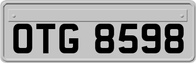 OTG8598