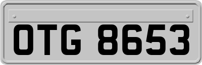 OTG8653