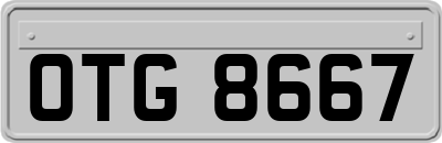 OTG8667