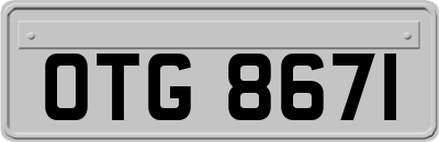 OTG8671