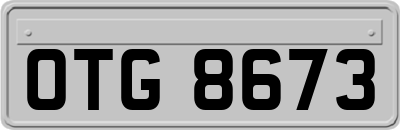 OTG8673