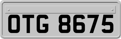 OTG8675
