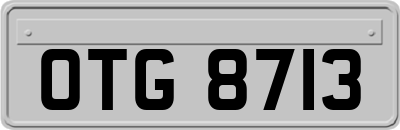 OTG8713