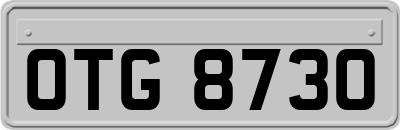 OTG8730