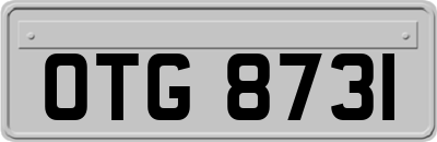 OTG8731