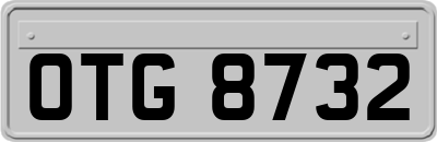 OTG8732