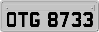 OTG8733
