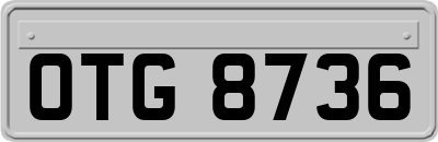 OTG8736