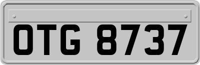 OTG8737