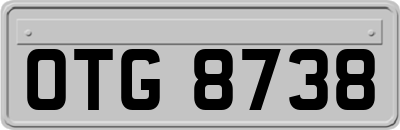 OTG8738