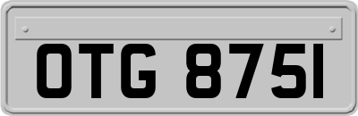 OTG8751