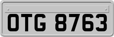 OTG8763