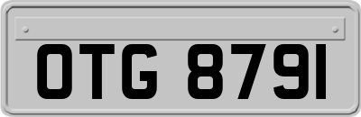 OTG8791