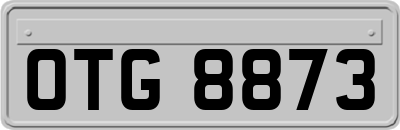 OTG8873