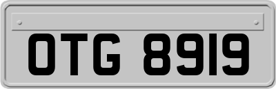 OTG8919