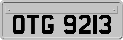 OTG9213