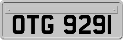 OTG9291