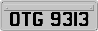 OTG9313