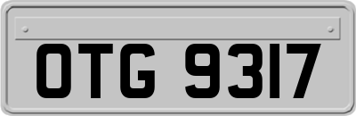 OTG9317