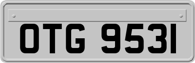 OTG9531