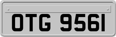 OTG9561