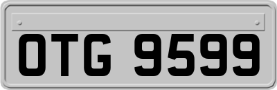 OTG9599