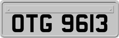 OTG9613