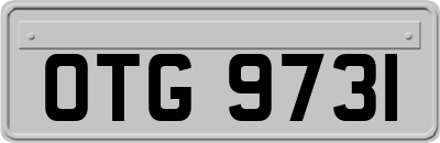 OTG9731