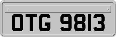 OTG9813