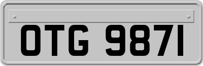 OTG9871