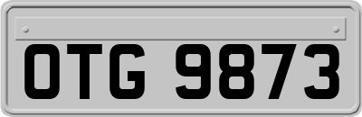 OTG9873