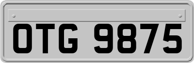 OTG9875