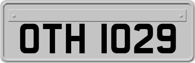 OTH1029