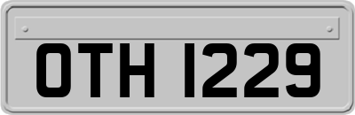 OTH1229
