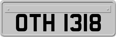 OTH1318