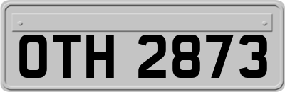 OTH2873
