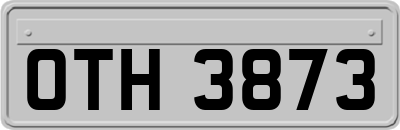 OTH3873