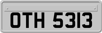 OTH5313