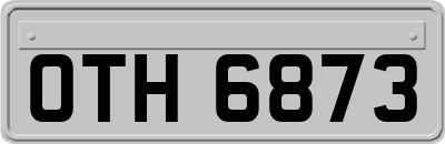 OTH6873
